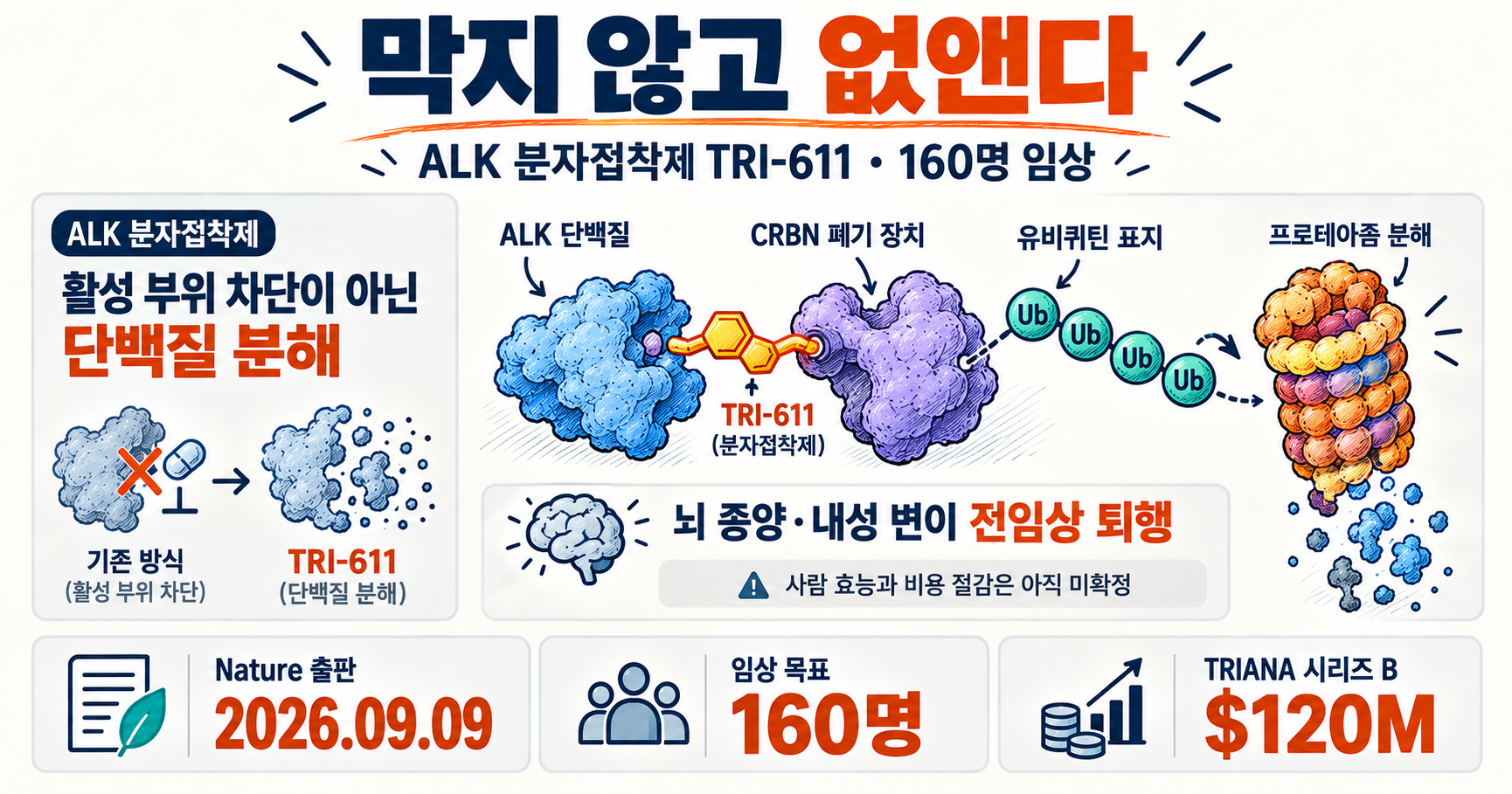 ALK 분자접착제 TRI-611의 단백질 분해 원리와 160명 임상