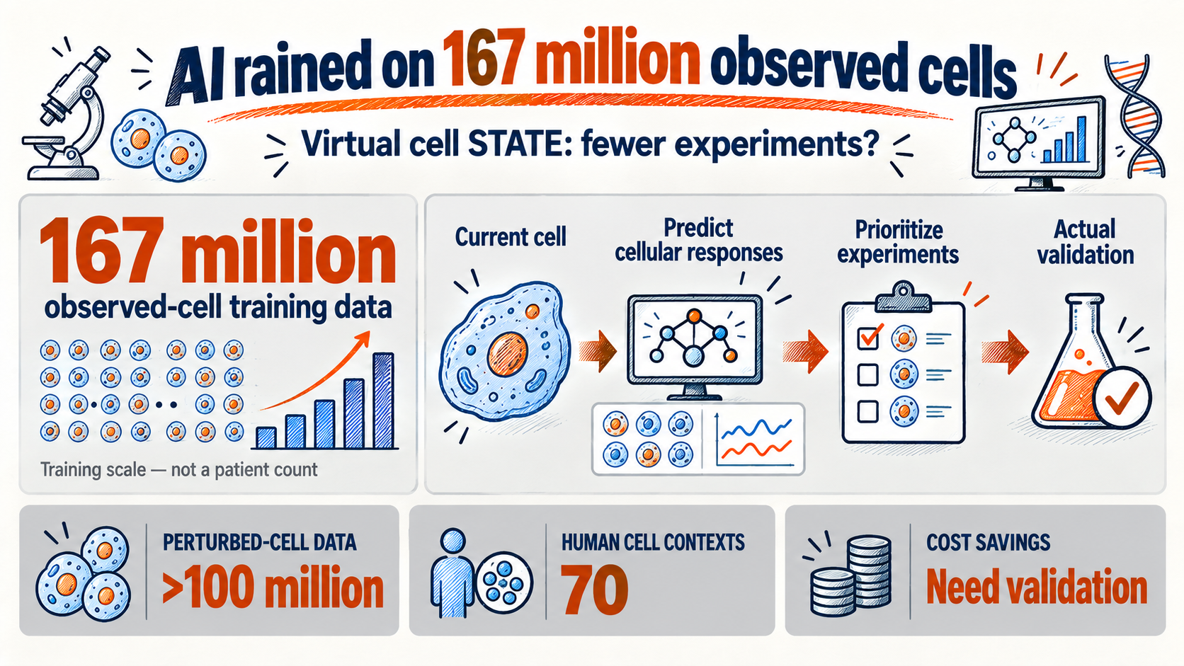 Virtual cell STATE — can 167 million cell observations help cut research costs?