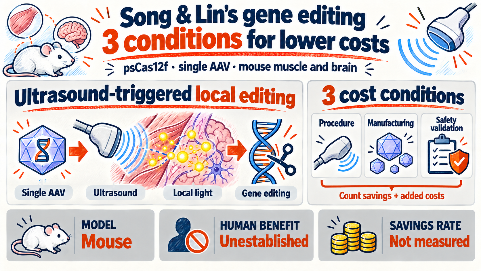 psCas12f Ultrasound Gene Editing: Three Conditions for Lower Treatment Costs