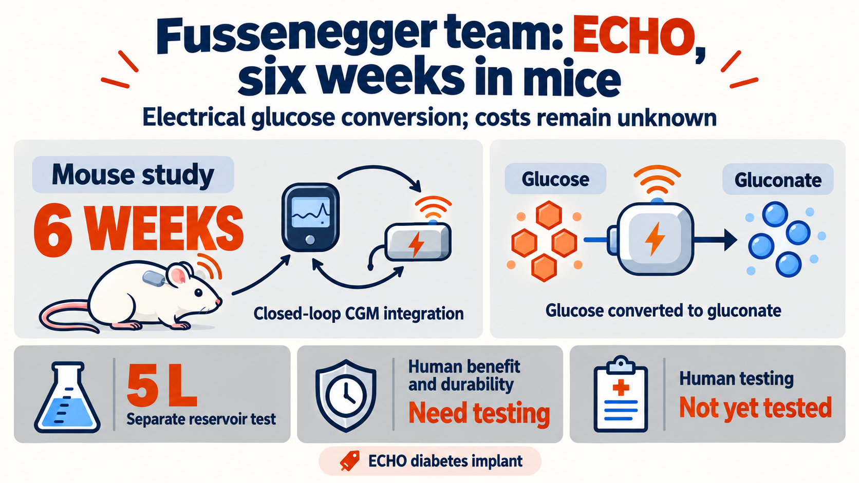 ECHO diabetes implant: six weeks in mice — could electrical glucose control cut treatment costs?