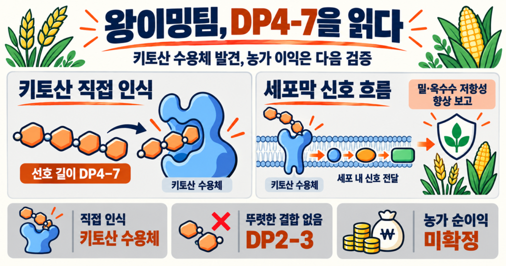 왕이밍팀의 키토산 수용체: DP4–7 인식과 농업 적용 조건