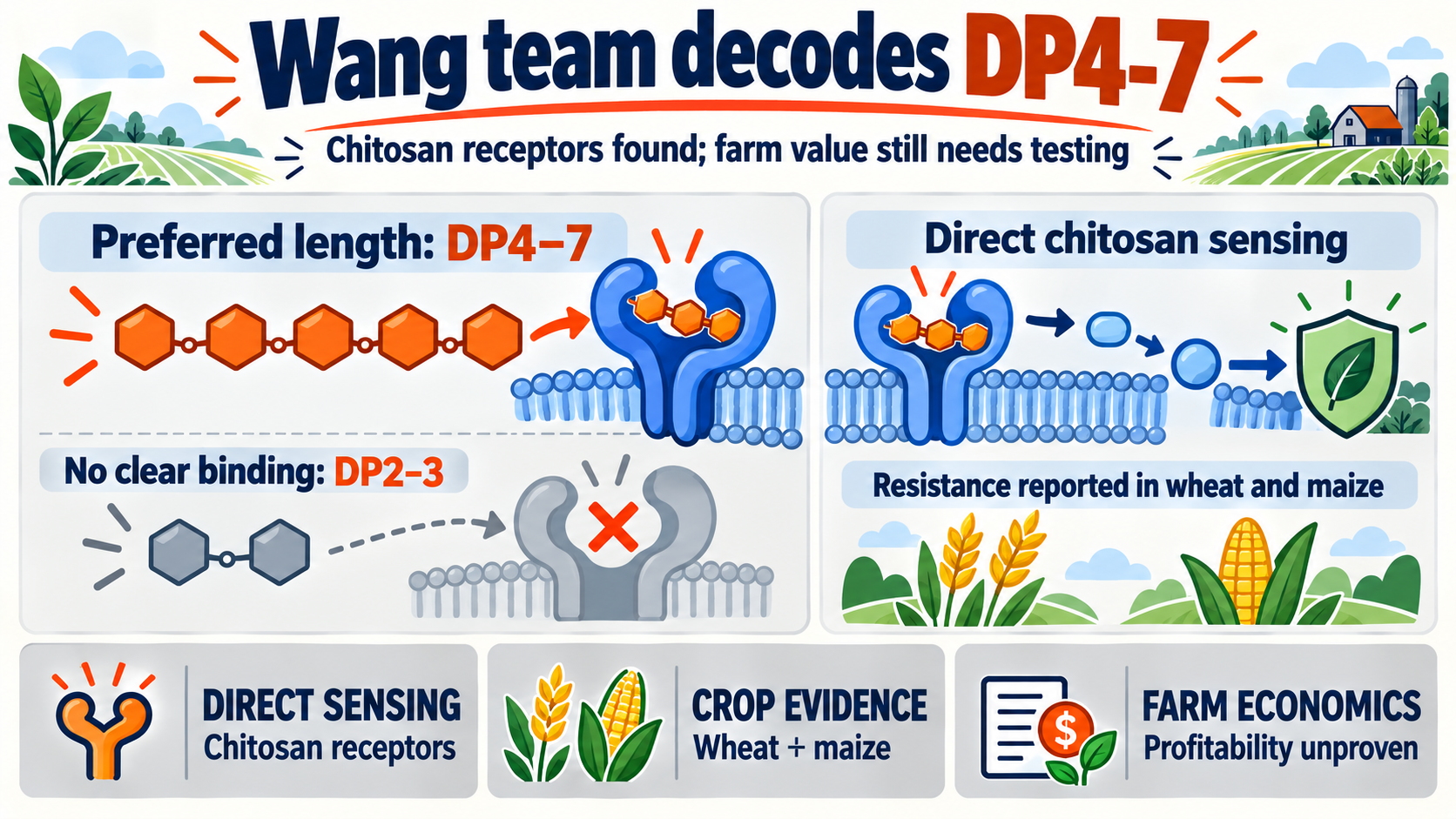 Chitosan receptors found — can Wang’s team turn fungal sensing into cheaper crop protection?